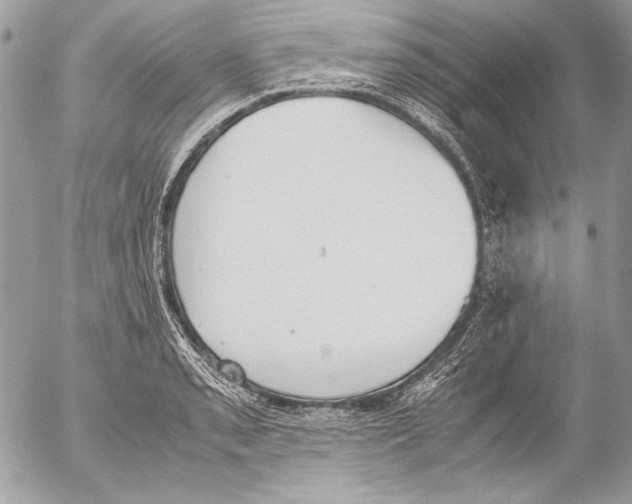 X0000052611085200507292143