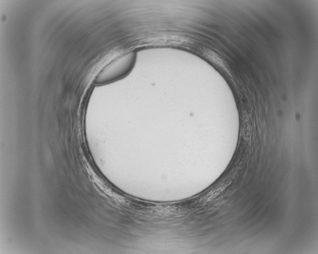 X0000052611087200507292143