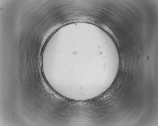 X0000052611088200507292143