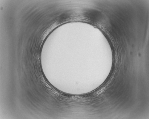 X0000052611089200507292142