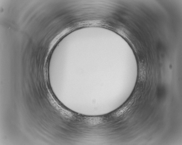 X0000052611090200507292142