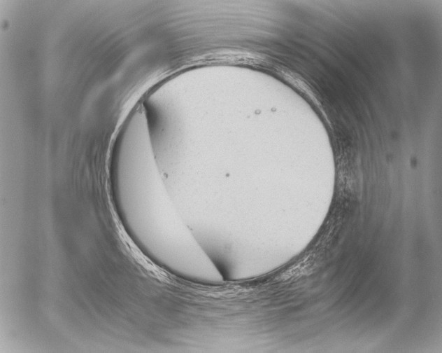 X0000052611091200507292142