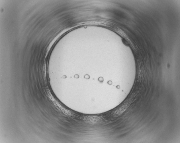 X0000052611092200507292142