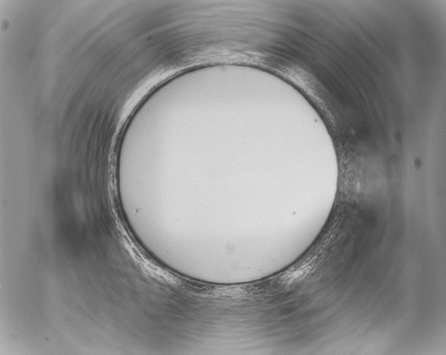 X0000052611094200507292142