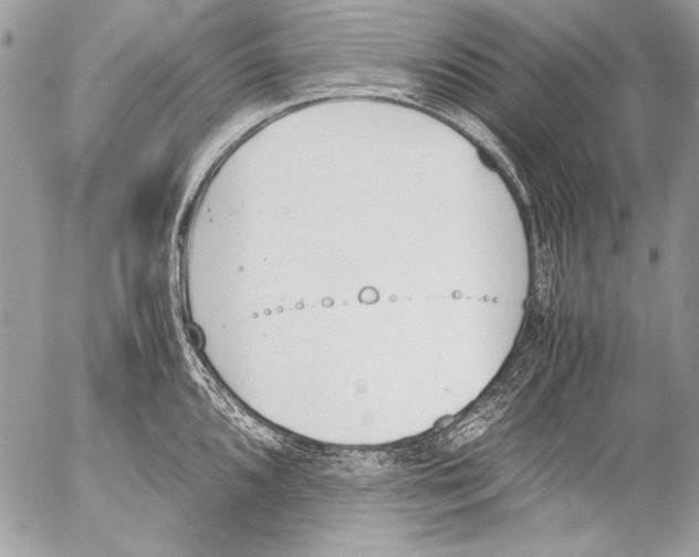 X0000052611096200507292142