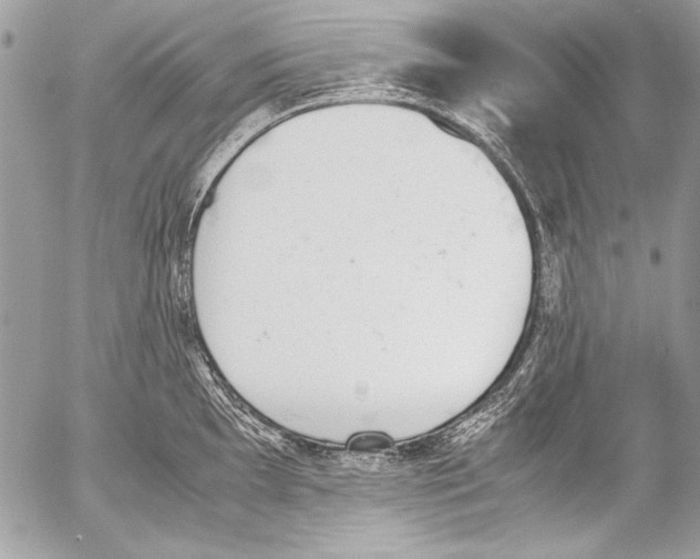 X0000052611097200507292142