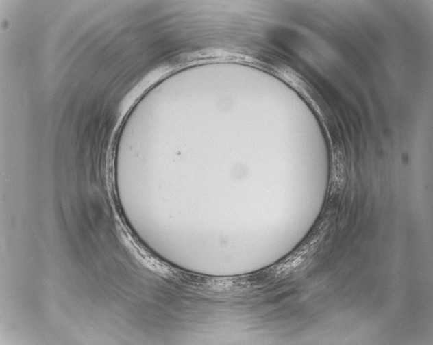 X0000052611098200507292142