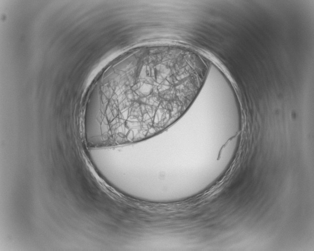 X0000052611101200507292142