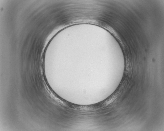 X0000052611102200507292142