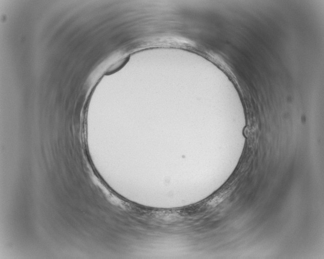 X0000052611103200507292142