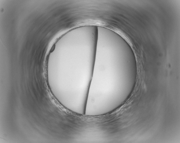 X0000052611104200507292142