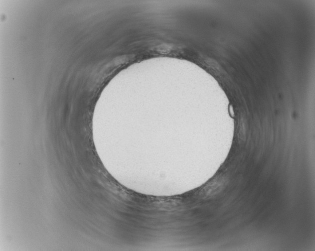 X0000052611105200507292141