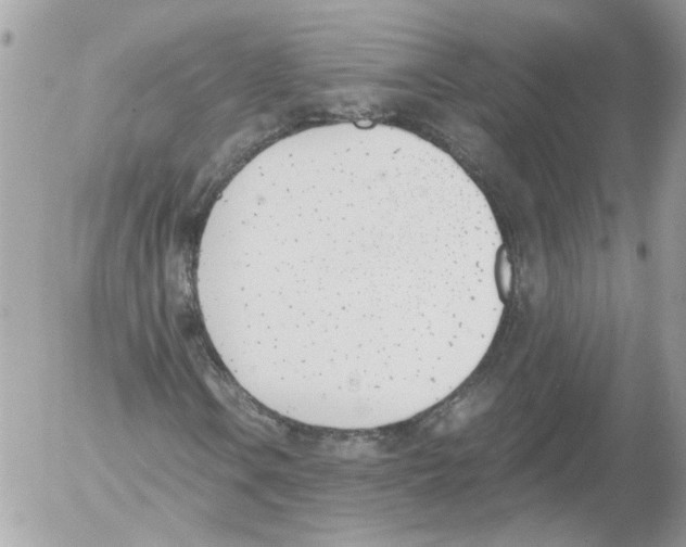 X0000052611106200507292141