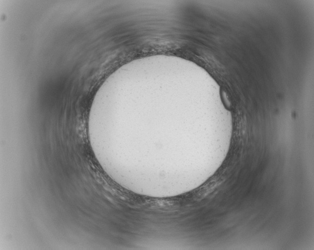 X0000052611109200507292142