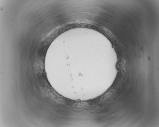 X0000052611110200507292142