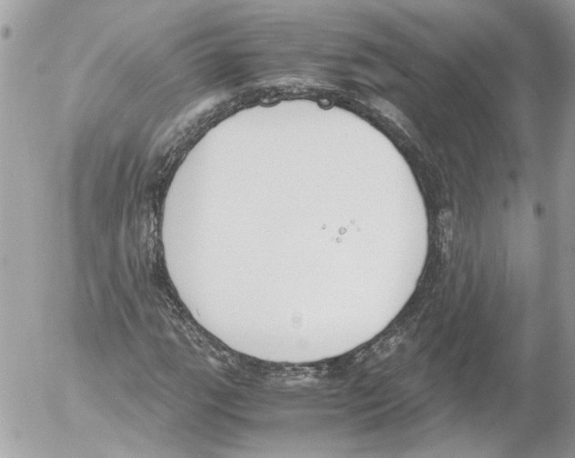 X0000052611111200507292142