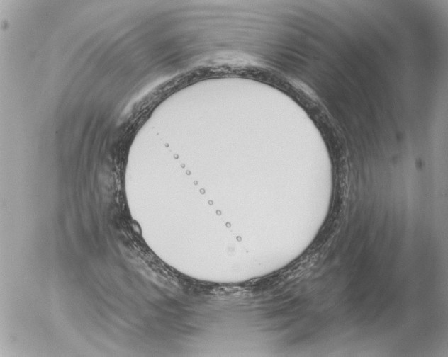 X0000052611112200507292142