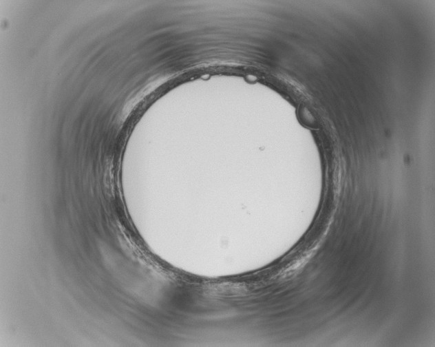 X0000052611113200507292142