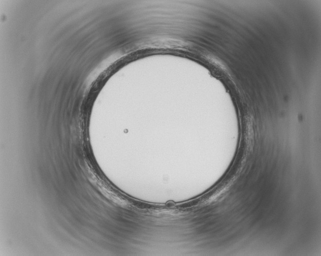 X0000052611114200507292142