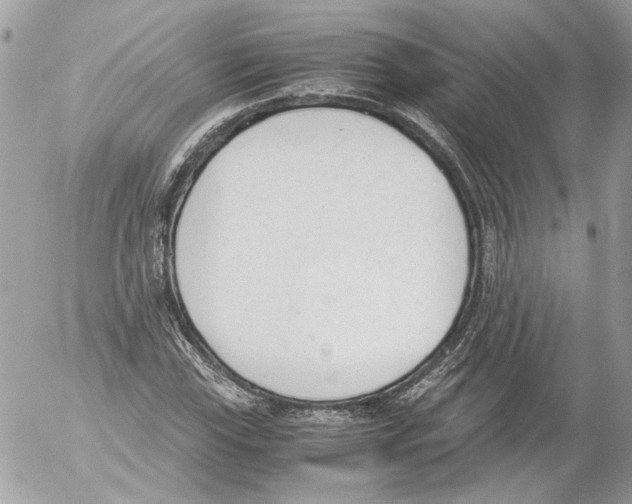 X0000052611115200507292142