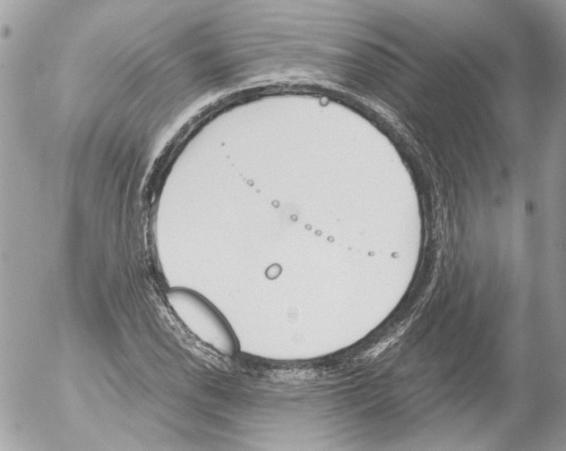 X0000052611118200507292142