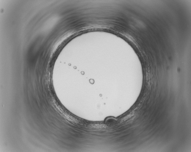 X0000052611119200507292142