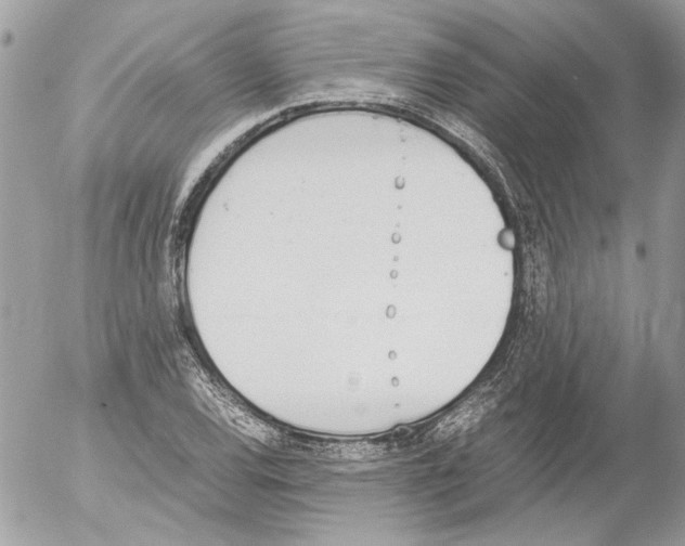 X0000052611120200507292142