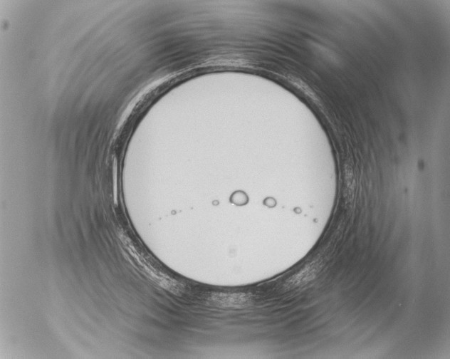 X0000052611123200507292142