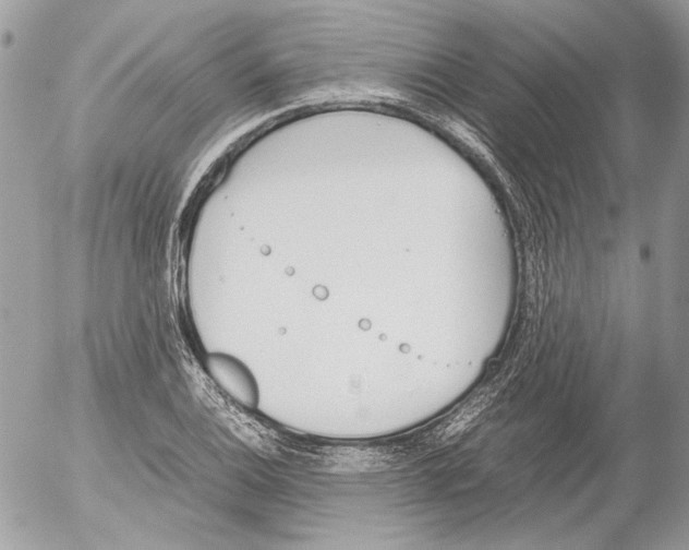 X0000052611124200507292142