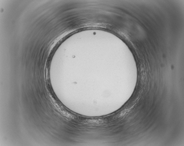 X0000052611125200507292142