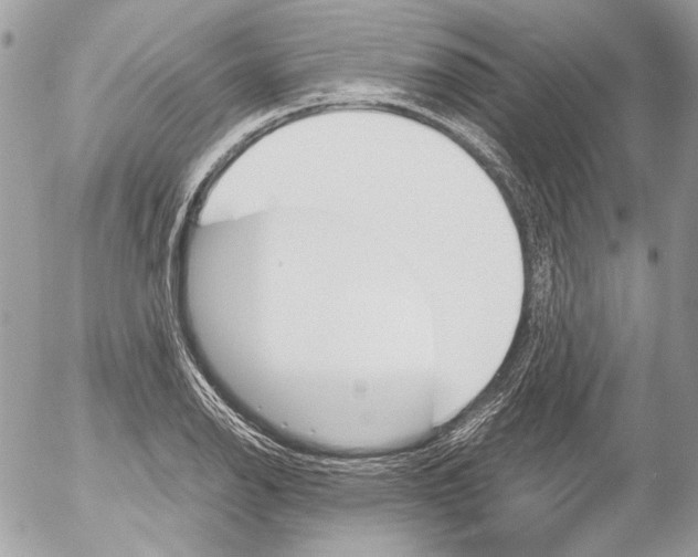 X0000052611126200507292142