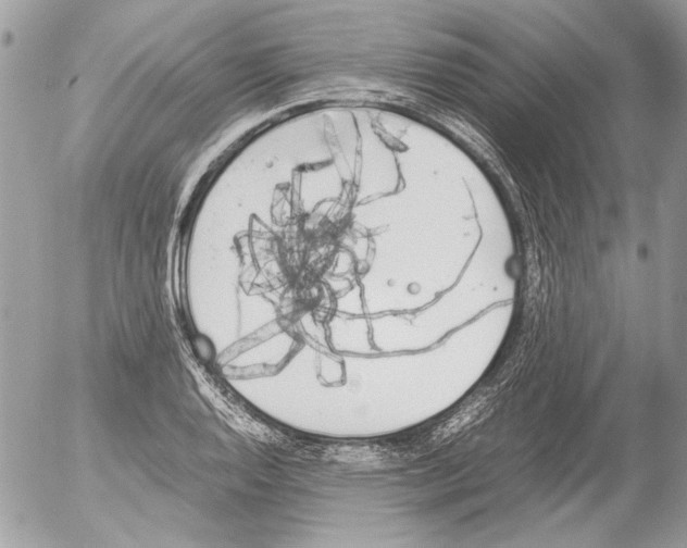 X0000052611128200507292142