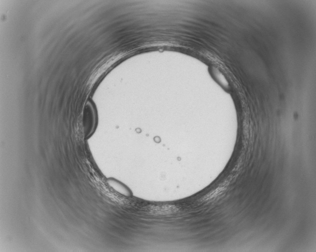 X0000052611129200507292142