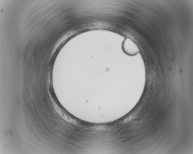 X0000052611130200507292142