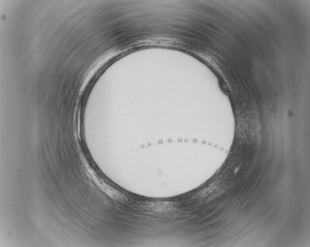 X0000052611131200507292142