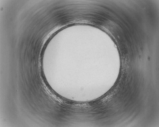 X0000052611133200507292142