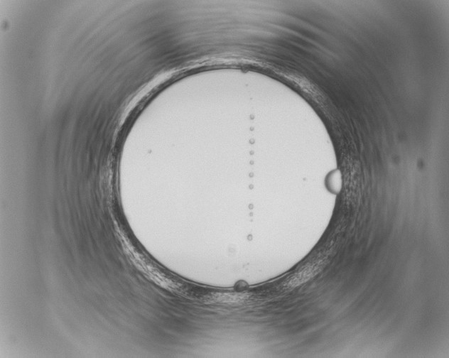 X0000052611134200507292142