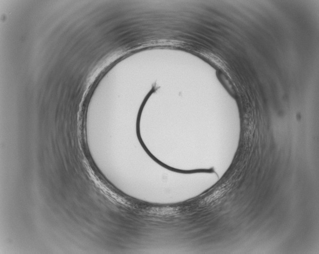 X0000052611135200507292142