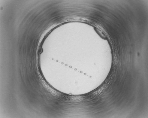 X0000052611136200507292142