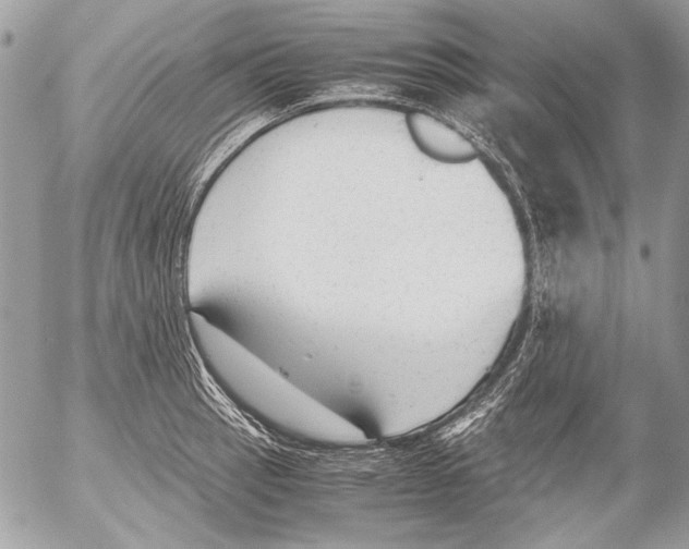 X0000052611137200507292142