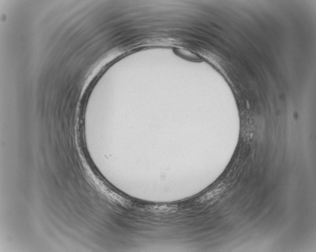 X0000052611139200507292142