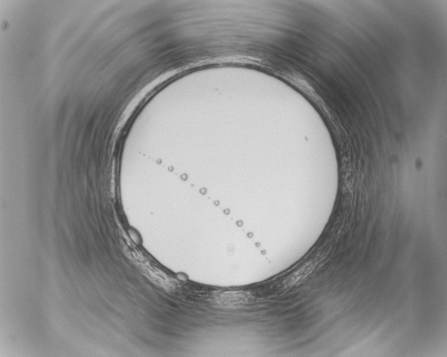 X0000052611140200507292142