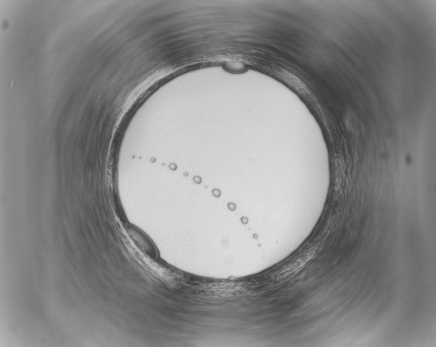 X0000052611141200507292142