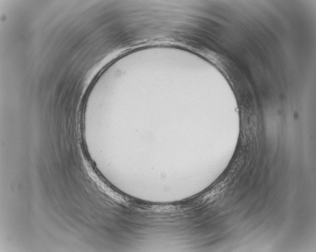 X0000052611142200507292142