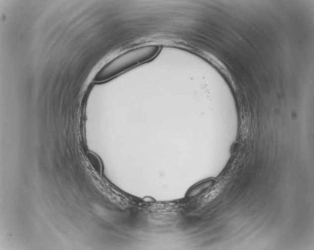 X0000052611146200507292142