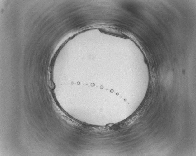 X0000052611147200507292142