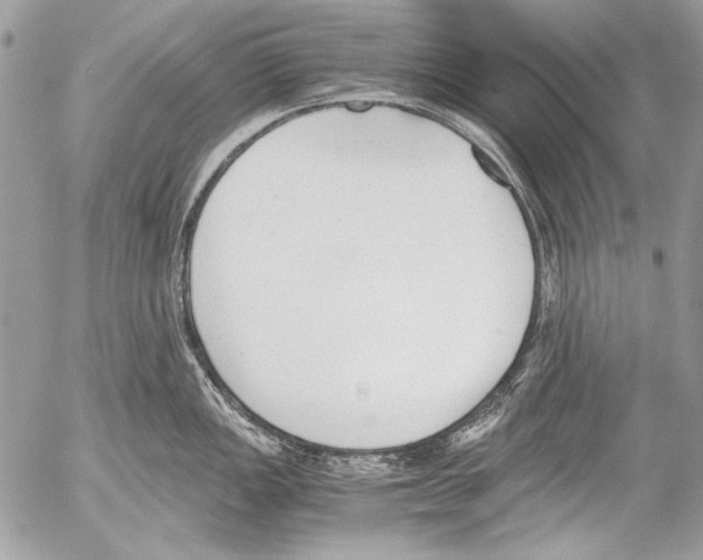 X0000052611149200507292142