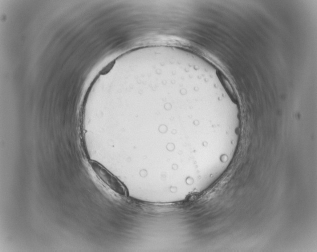 X0000052611152200507292142