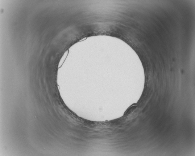 X0000052611153200507292141