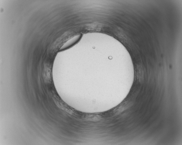 X0000052611154200507292141